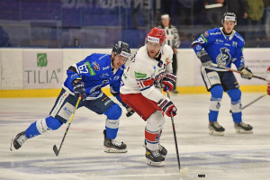 dsc_3684 kopie.jpg